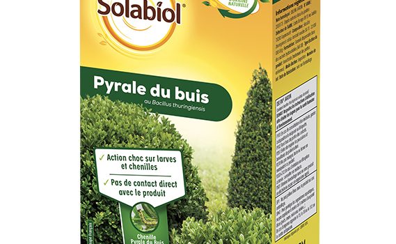 Combattre la Pyrale du Buis : On a la solution ! Combattre la Pyrale du Buis : On a la solution !