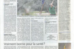 CUEILLETTE DES OLIVES VAR MATIN