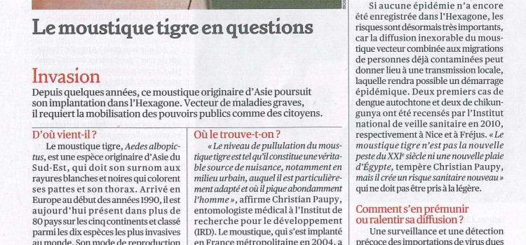 LE MOUSTIQUE TIGRE EN QUESTIONS