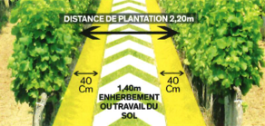 distance de plantation