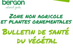 BSV (Bulletin de Santé du Végétal) Jardins Amateurs n°10