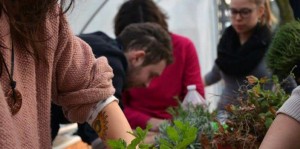 L’entraide est de mise au jardin collectif