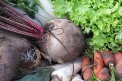 Créez votre propre potager !