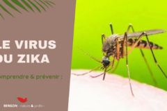 ZIKA : comprendre et mieux prévenir ce virus