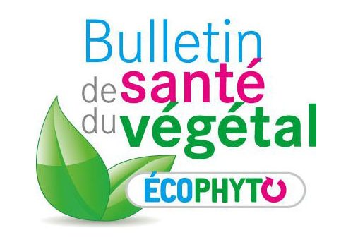BSV (Bulletin de Santé du Végétal) Arboriculture n°3 Poirier BSV (Bulletin de Santé du Végétal) Arboriculture n°3 Poirier