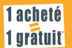 Chrysanthème – 1 acheté = 1 OFFERT !