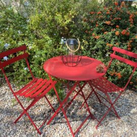 Votre jardin manque d’eau, pourquoi ne pas élaborer un jardin sec ?